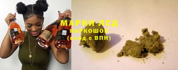ECSTASY Вяземский